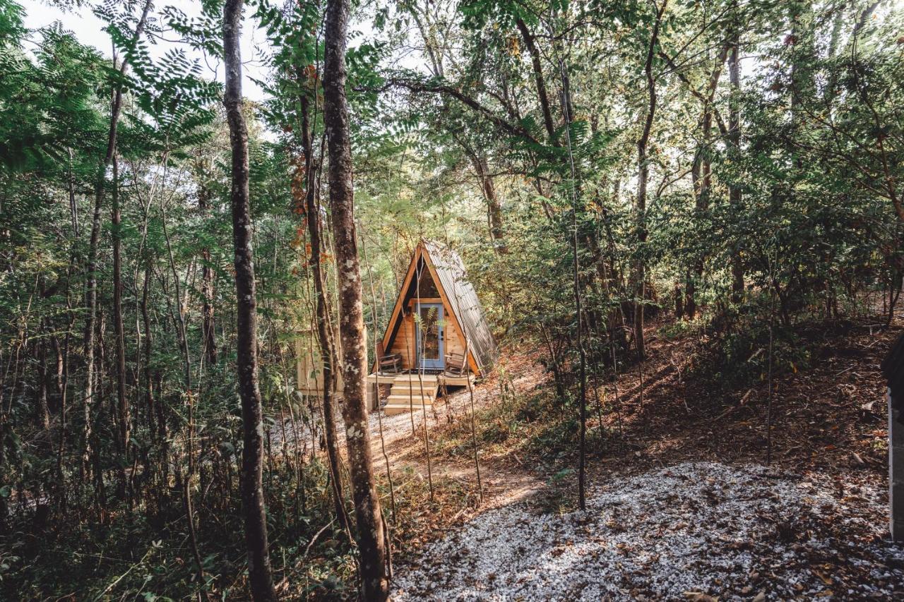 Blue Brambler Glamping A-Frame Apartamento Rockbridge Exterior foto